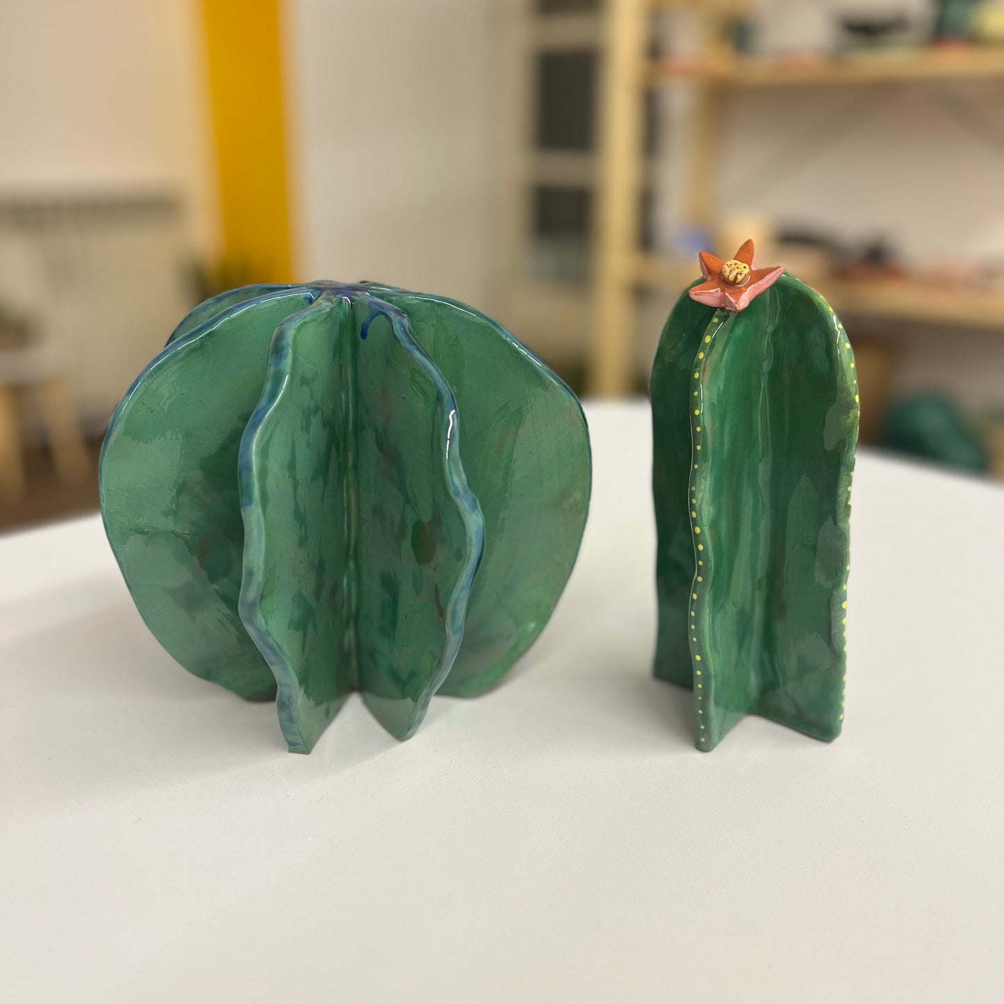 Ukrasni kaktus - Okrugli